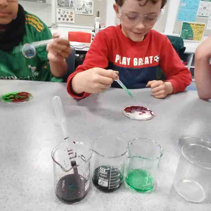 ClaregalwayColl's tweet photo. Ms Mahoney: To kick off #ScienceWeek23 celebrations CBC Science Club welcomed our neighbours 3rd class from CETNS for some hands on experience in the lab.
🔥🔍🌈
#CBCScienceClub https://t.co/WIN51xHjL4