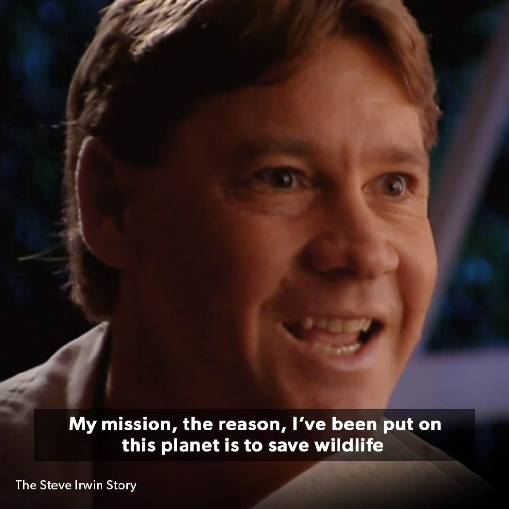 On this Steve Irwin Day, let's remember the man who spoke the language of the wild! 🌳🐊

#DiscoveryPlusIn #DiscoveryPlus #SteveIrwin #SteveIrwinDay #AustraliaZoo