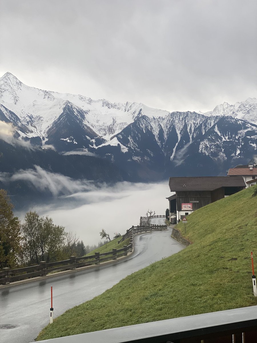 Hayden Bowles tweet media