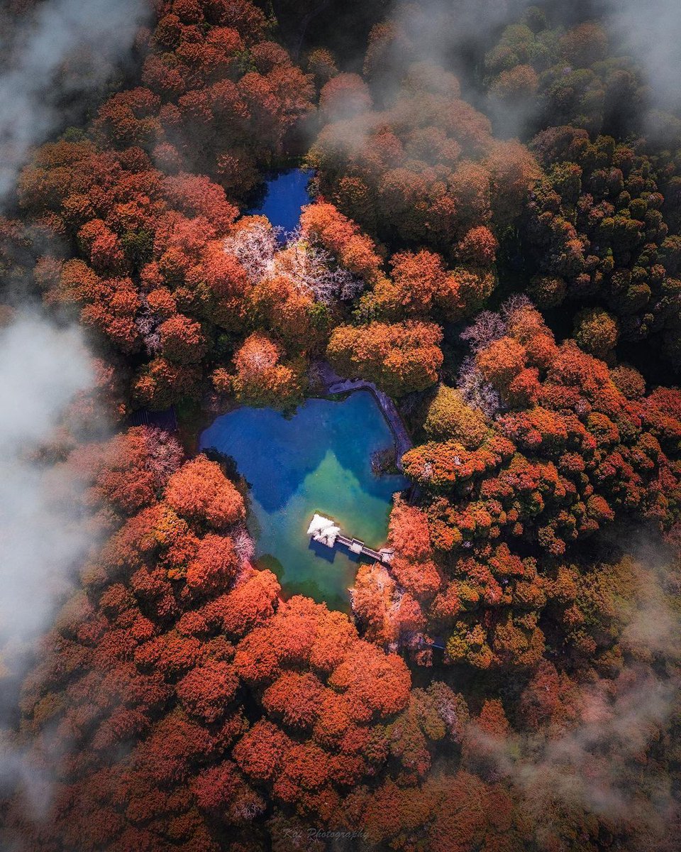 Mithe526533's tweet image. Happy and beautiful days, I hope you are here