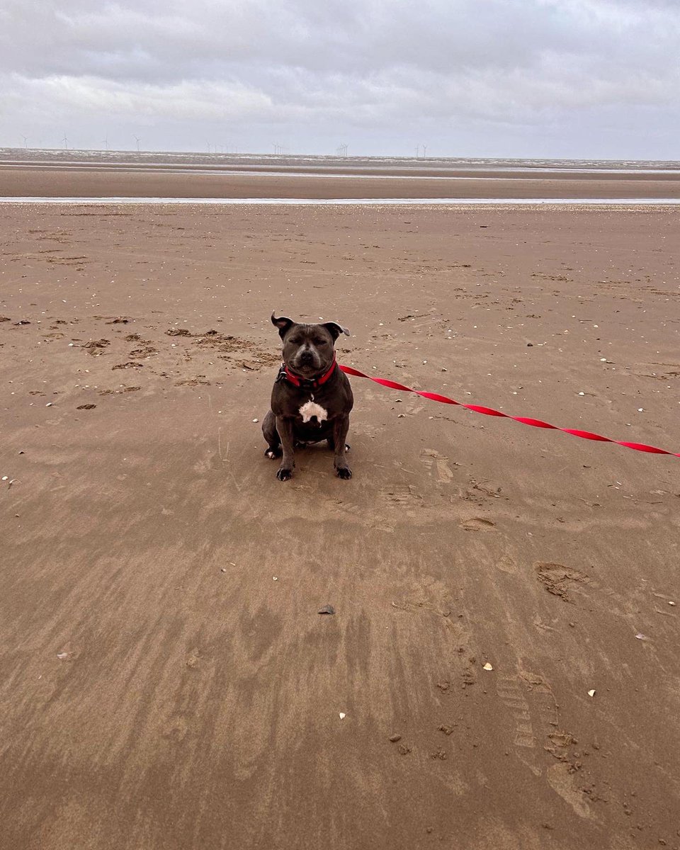 alix_bee's tweet photo. First stop the beach! https://t.co/LkoQTl4TQM