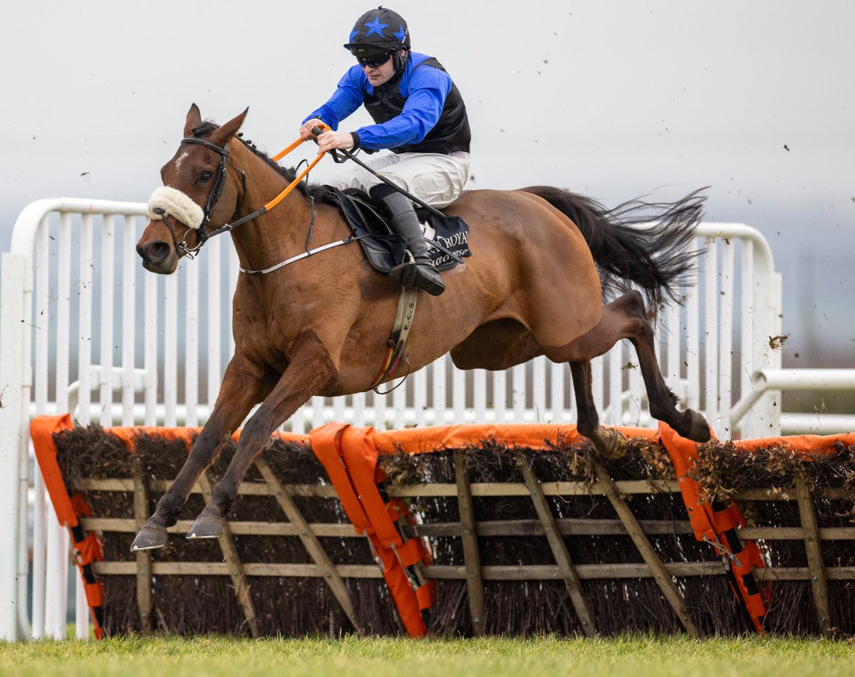 Racing Post (@racingpost) on Twitter photo ⭕️ The Persian War winner Captain Teague is one of eight declarations for the Grade 2 novice hurdle at Cheltenham on Friday, including Irish runners The Big Doyen and Kinbara. ⭕️ The Persian War winner Captain Teague is one of eight declarations for the Grade 2 novice hurdle at Cheltenham on Friday, including Irish runners The Big Doyen and Kinbara.