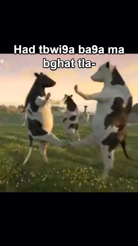 MouadGhd2's tweet photo. @iJixaw Jixaz go buy a land and start a big farm where you breed horses and smonk weedé. https://t.co/NeKirfqG2b