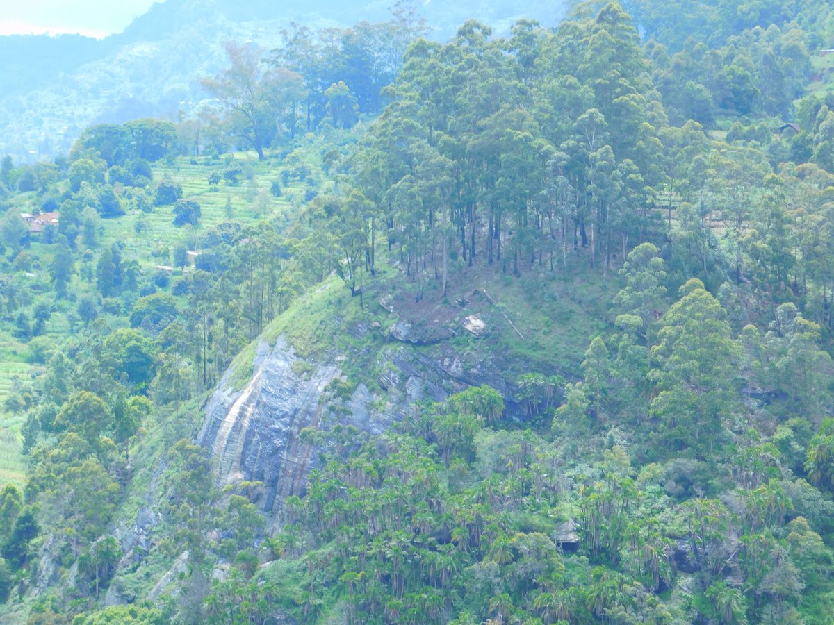 AgnesMwang's tweet photo. Small mwaghuda hill in Taita hills is equally a beauty to behold https://t.co/HHHVOrBBlg
