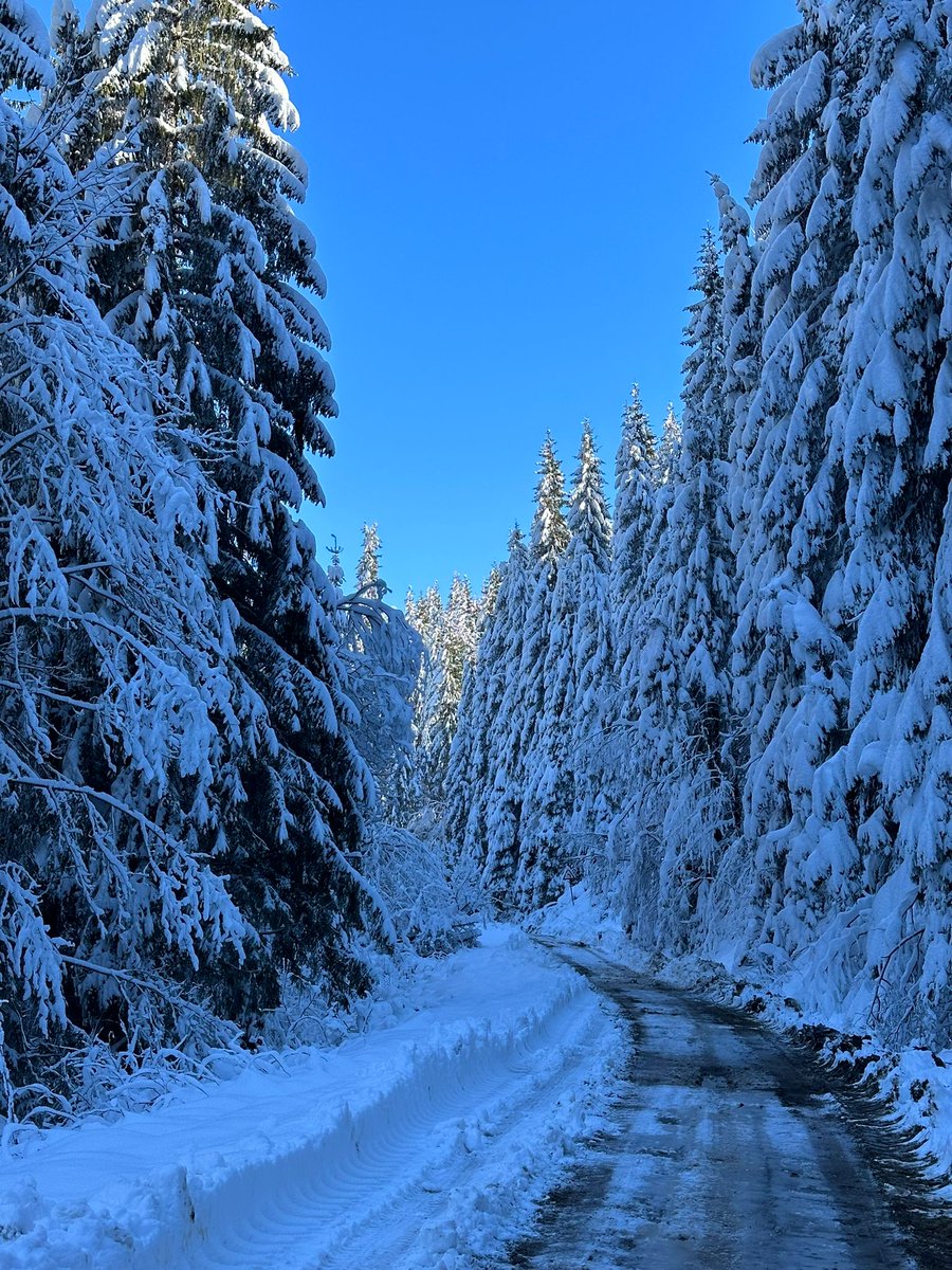 RNP_Romsilva's tweet photo. Prima ninsoare la Ocolul Silvic Sovata

📷 The first snow over the forests of Sovata Forest District in Mureș County.
#Romsilva #RNP #directiesilvica #district #ocolsilvic #silvicultura #iarna #trees #forest #Forestry #forestmanagement #peisaj #landscape #scenery #winter #Sovata https://t.co/gNf4kYLok5