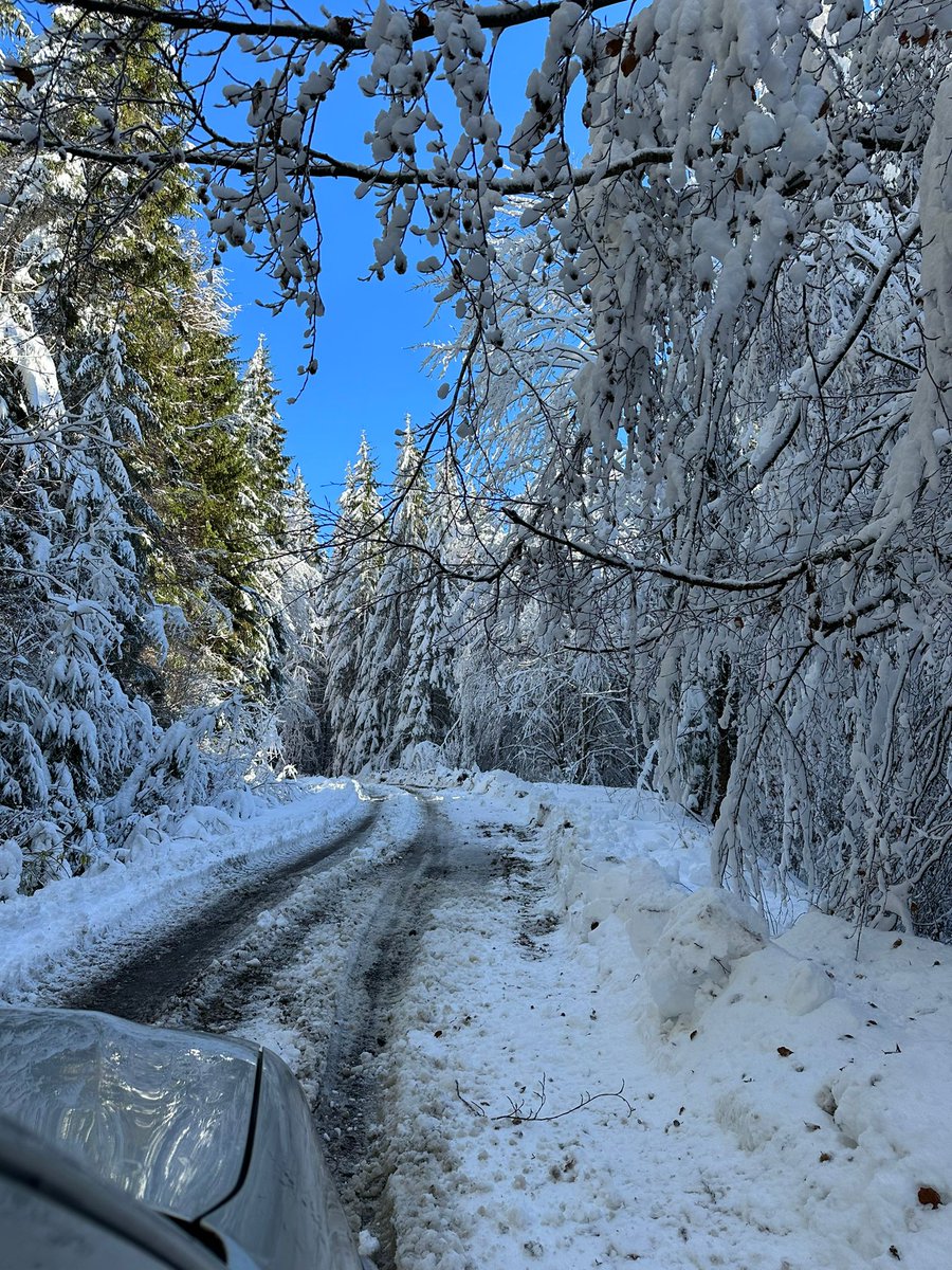 RNP_Romsilva's tweet photo. Prima ninsoare la Ocolul Silvic Sovata

📷 The first snow over the forests of Sovata Forest District in Mureș County.
#Romsilva #RNP #directiesilvica #district #ocolsilvic #silvicultura #iarna #trees #forest #Forestry #forestmanagement #peisaj #landscape #scenery #winter #Sovata https://t.co/gNf4kYLok5