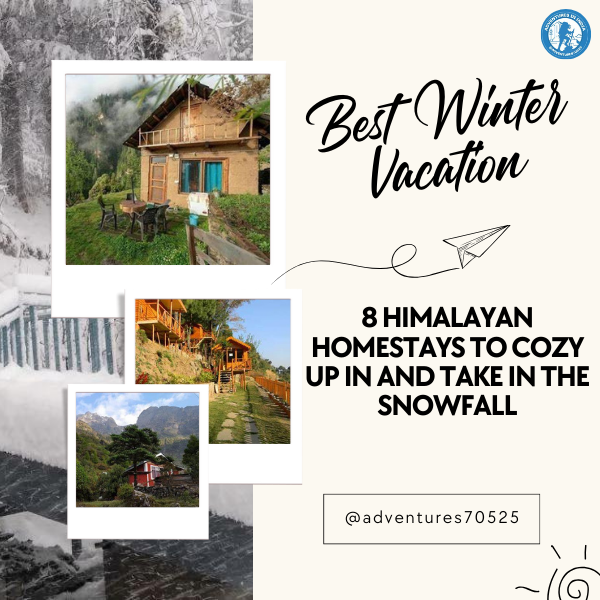 adventures70525's tweet photo. Best Winter Vacation: 8 Himalayan Homestays to Cozy Up in and Take in the Snowfall
#IncredibleIndia #AdventureAwaits #indiaadventures #adventuresinindia #adventuresindia #adventuresofindia #adventuresabound
https://t.co/jkGIsk3f8d https://t.co/pSdmr8ie0U