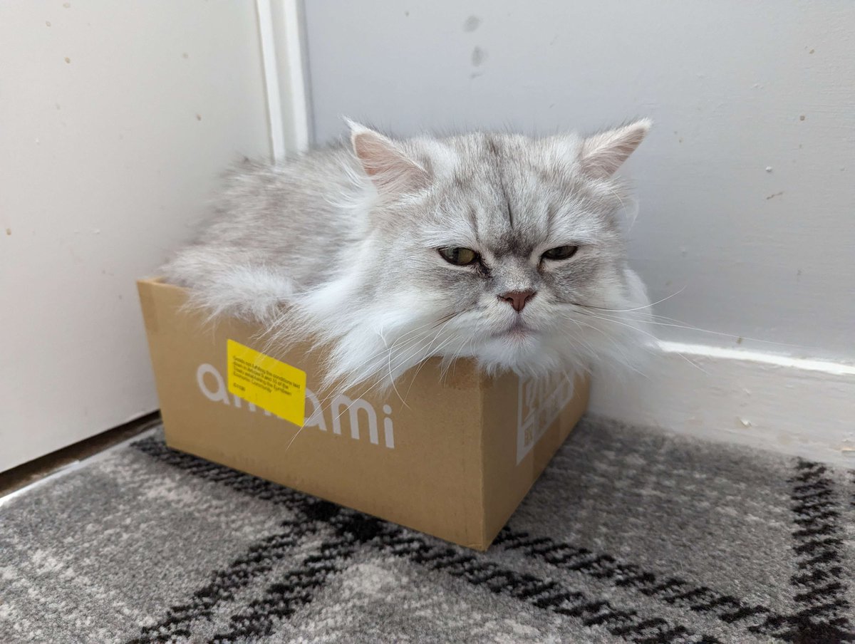 AmiAmi_English's tweet image. 🌈Meme Prize🌈
🐈Hank (@psycho_soviet)
Surprised! How can Hank even fit in the tiny AmiAmiBox?!
His comical expression and the fluffy look are so cute😍
#PetwithAmiAmiBox