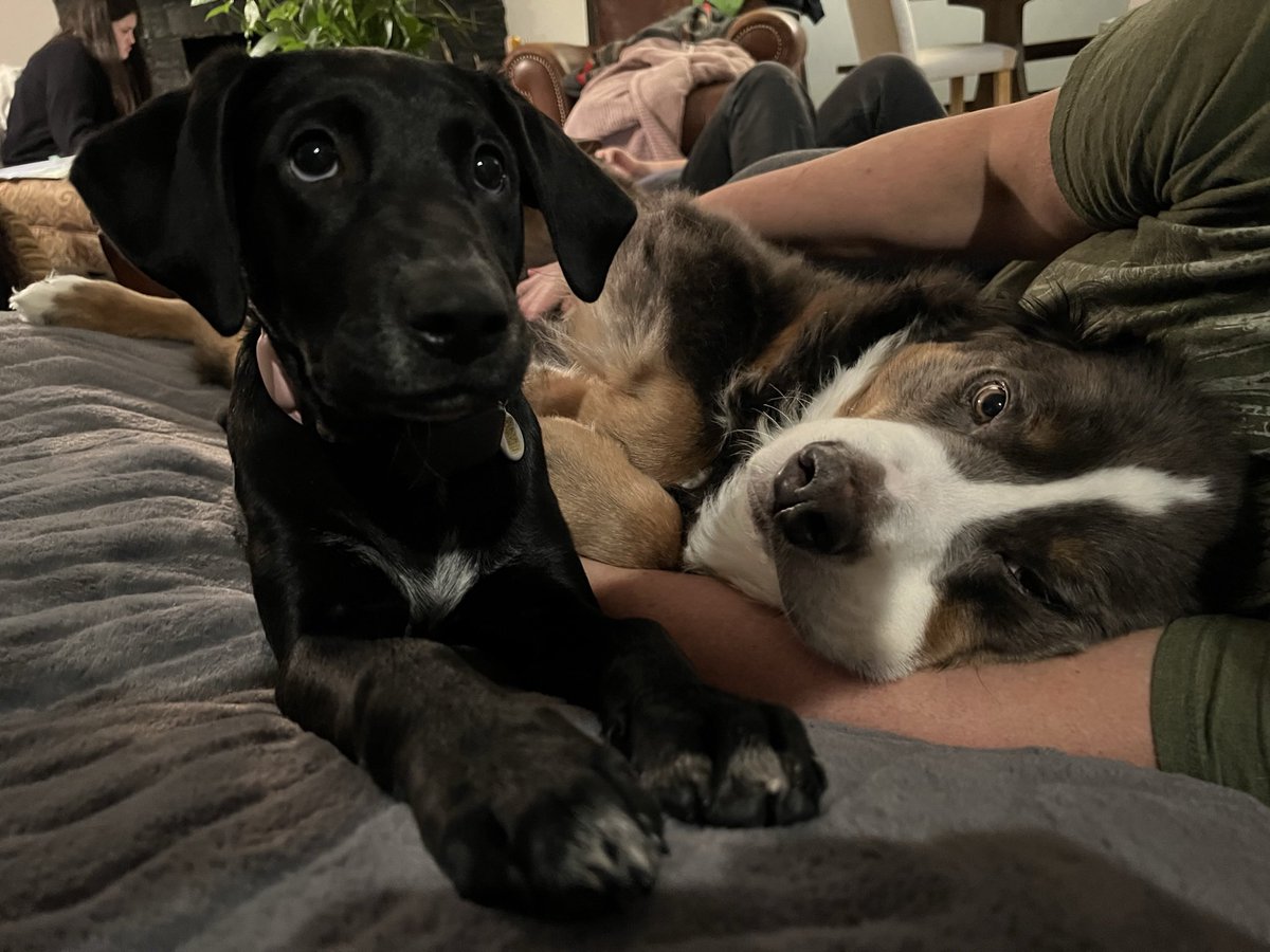 Morgan Mitchell tweet media