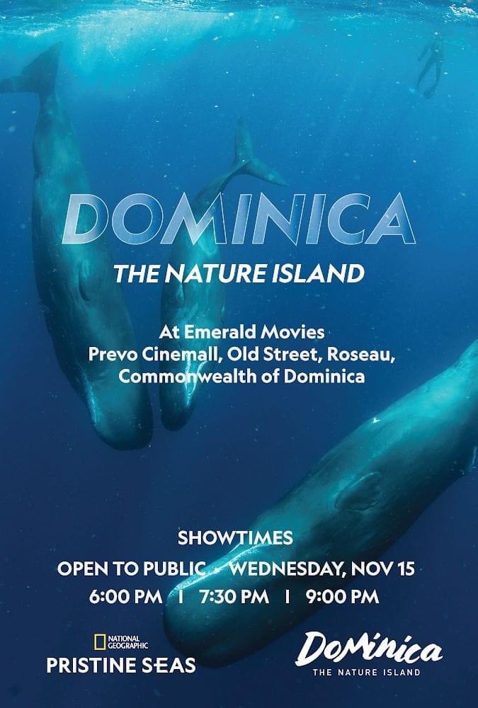 This is your chance to go see 'Dominica-The Nature Island,' a documentary film by National Geographic-Pristine Seas. Experience the wonders of our Nature Island at Emerald Movies.