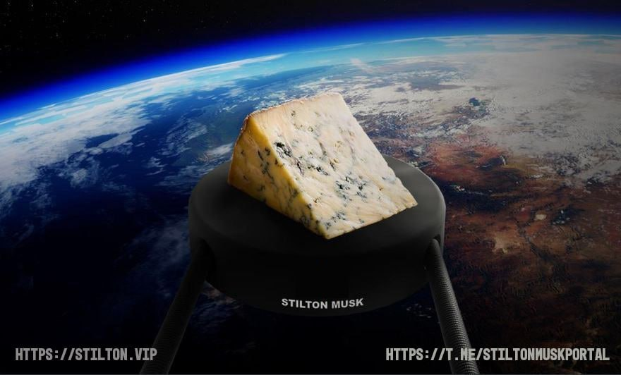Stilton Musk tweet media