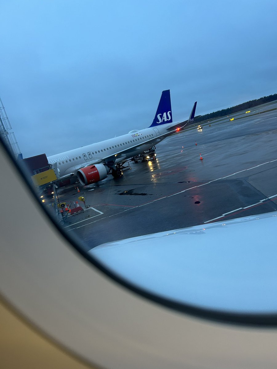 Thomas Fogdö tweet media