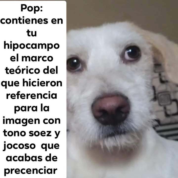 obscurebore23's tweet photo. @BonnieOdio Ah jaja https://t.co/5gblPlecSs