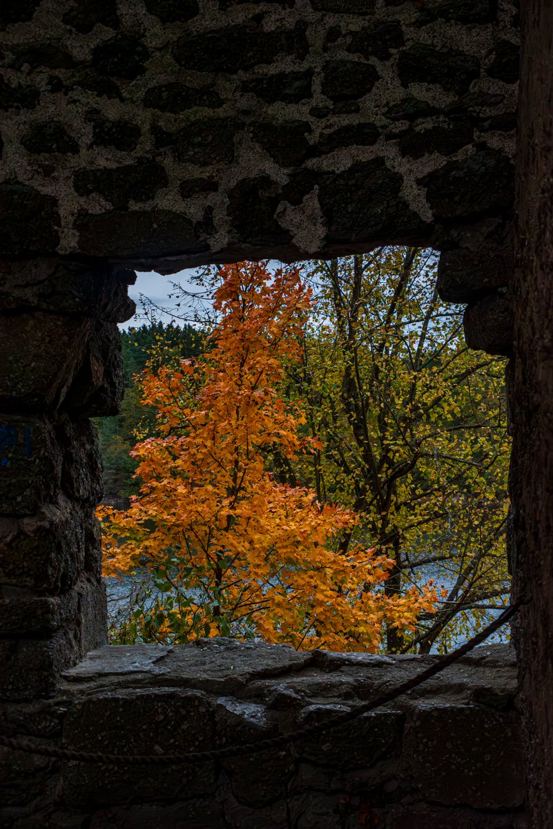 #fortress #Lichtenfels #Autumn #AutumnBeauty 
Window into autumn. This is for #WindowsOnWednesday , it's a window of the ruins of fortress Lichtenfels in Lower Austria.