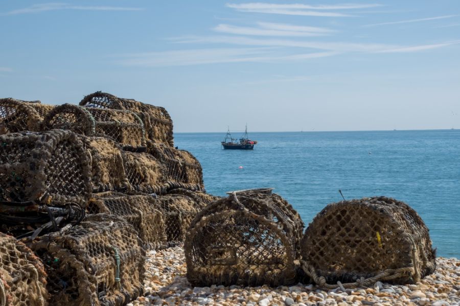 Did you know? The crabs and lobsters in Selsey help our environment and our economy but they are having a bit of a hard time at the moment. 

Scientists from Brighton and Southampton are working hard to make sure we have them here for many years to come: orlo.uk/chasm_project_…