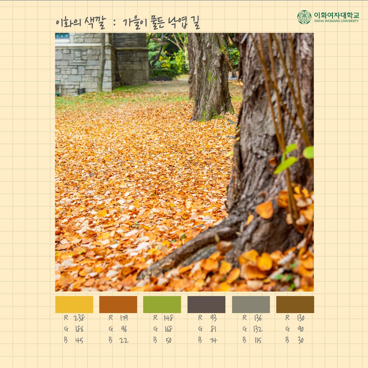 EwhaWomansUniv's tweet photo. I like it! π¨ Ewha Color Palette vol.2 Autumn
#EwhaColor #autumn_version #EwhaColorPalette #aesthetic_sense_out_of_this_world #season_of_EwhaGreen_flag #EWHA #UNIV https://t.co/FVZtY4cKCu