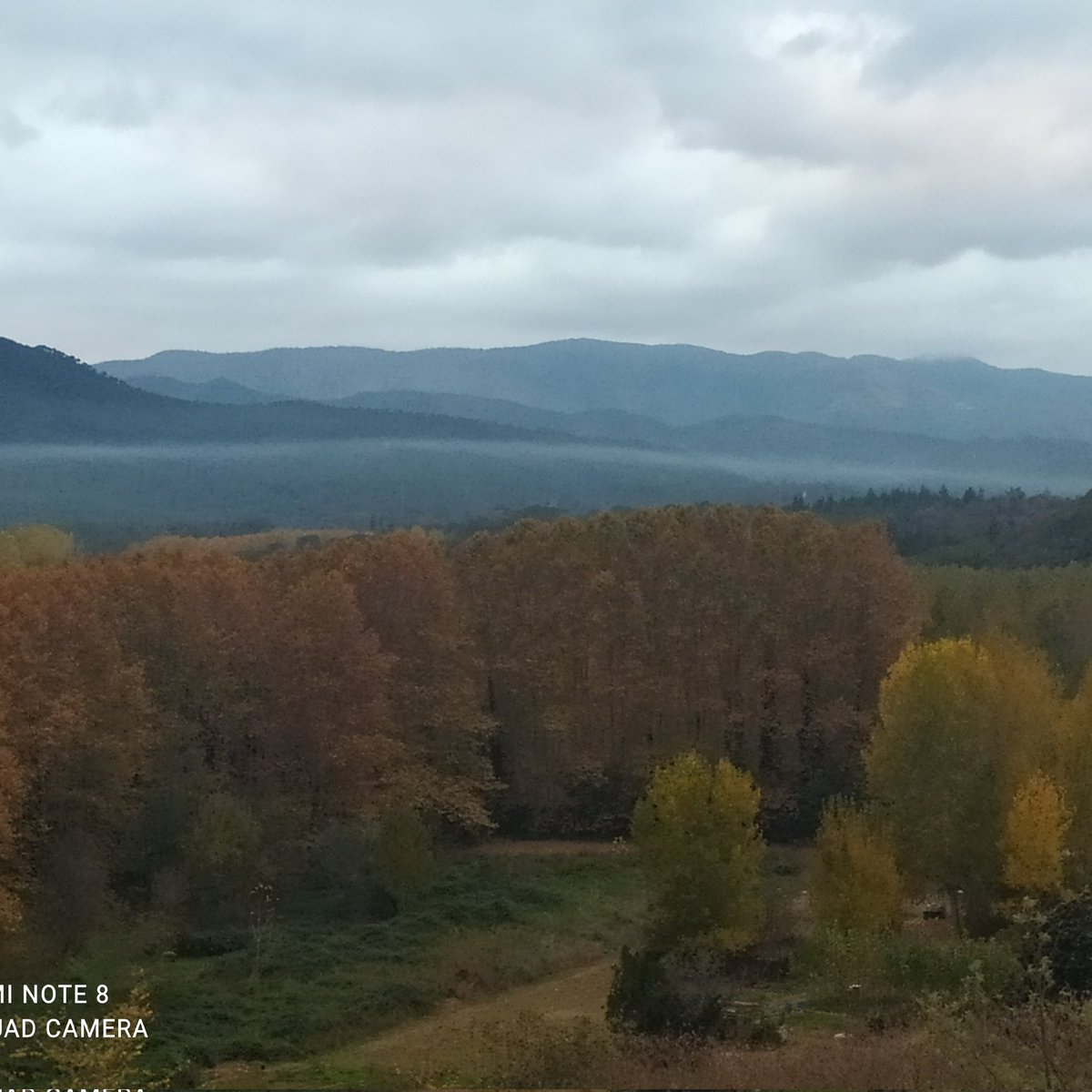 Mon_condensat's tweet photo. Que tota bona Sort i bona energía disponible vingui a mi ara mateix. És benvinguda, i agraïda. Gràcies... bon dia https://t.co/2YzUrJtLw7