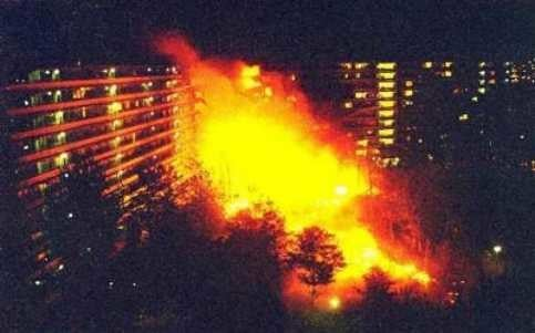 ☀️👀 tweet media