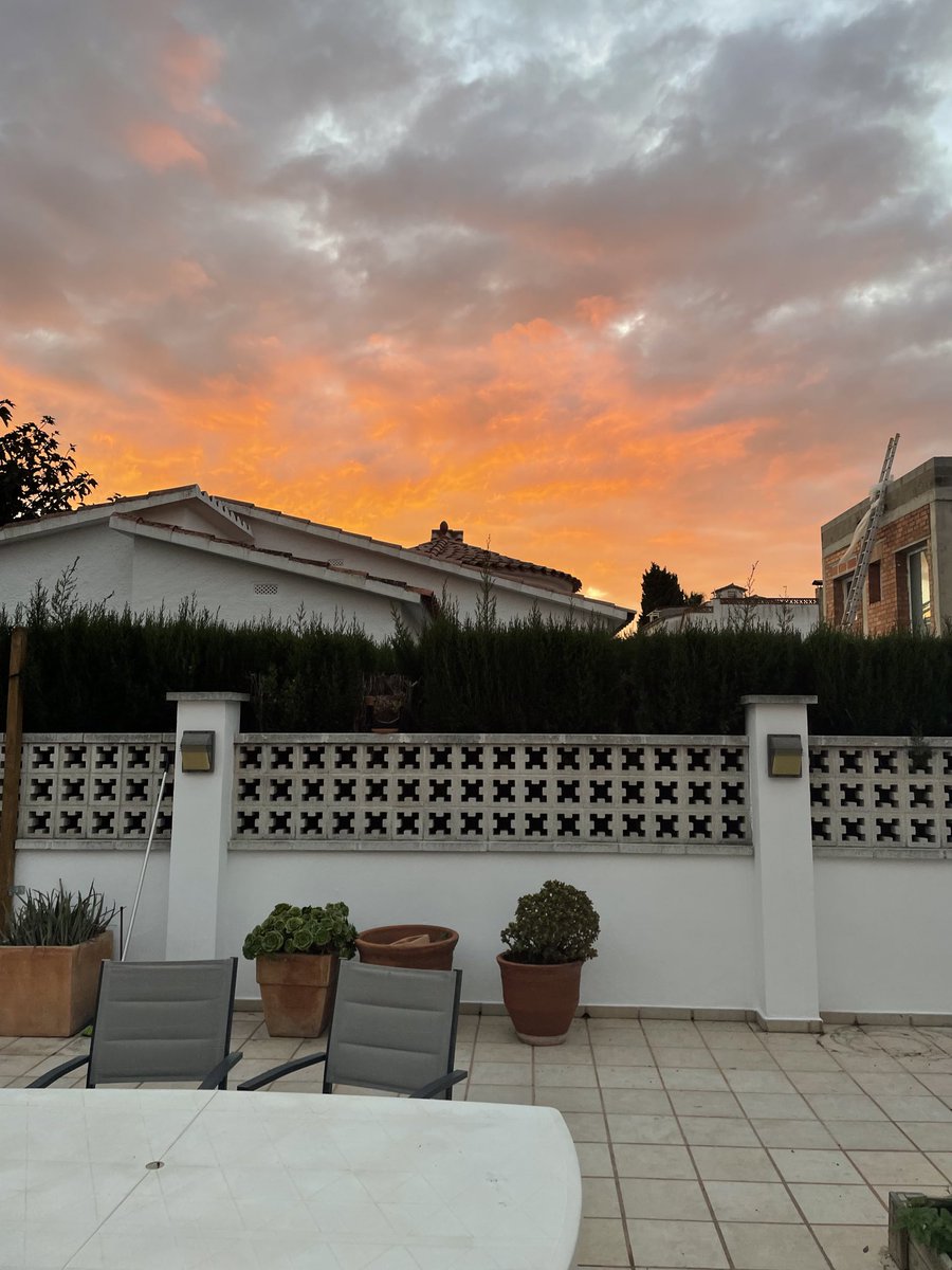 🌅🌅