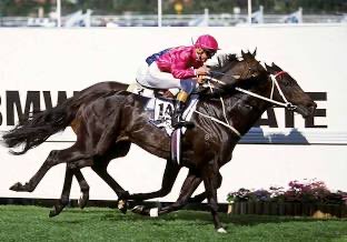 Tim Guille tweet media