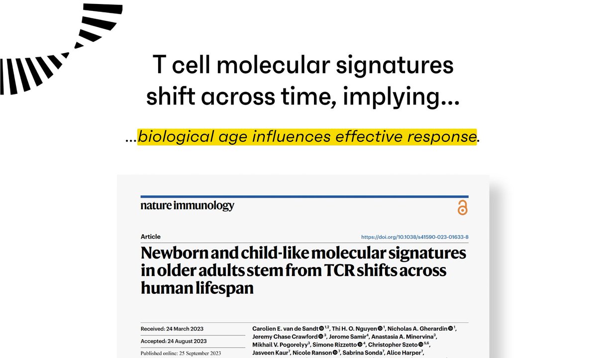 OmniscopeAI's tweet photo. Molecular changes in T cell across lifespan suggests meaningful influence of “immune age” in effective protection against diseases.
🗞 https://t.co/e8TKfimgTg
#ScienceIsWeAll #NoTCellLeftBehind https://t.co/SRqDWbDEHv