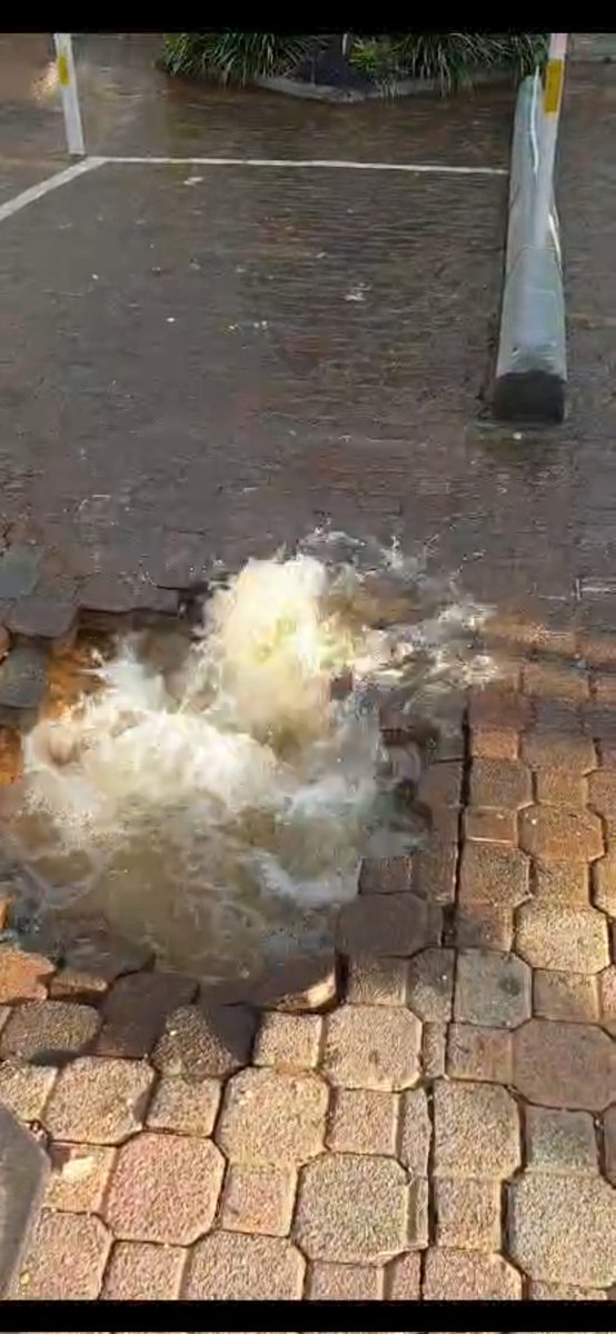 LunarC11's tweet photo. Burst water pipe, Joburg water has a 24-48 hrs turnaround turn time, kilolitres of water been wasted https://t.co/bGudBCLTjF