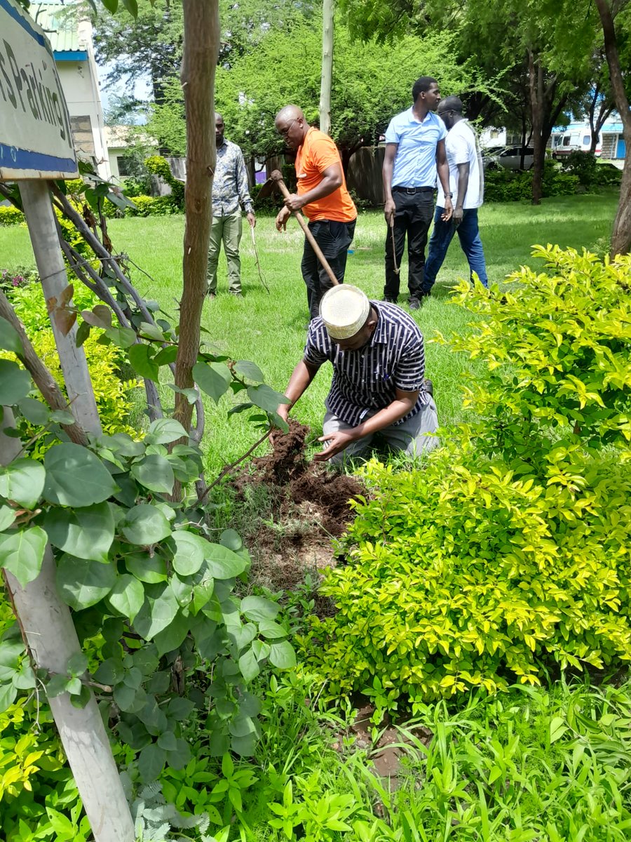 risenetwork254's tweet photo. the heart of our community, a seed of change takes root – a commitment to a greener, healthier future through dedicated tree planting. As we dig into the soil with purpose, each sapling becomes a testament to our collective dedication to environmental stewardship. https://t.co/i5C205n3TD