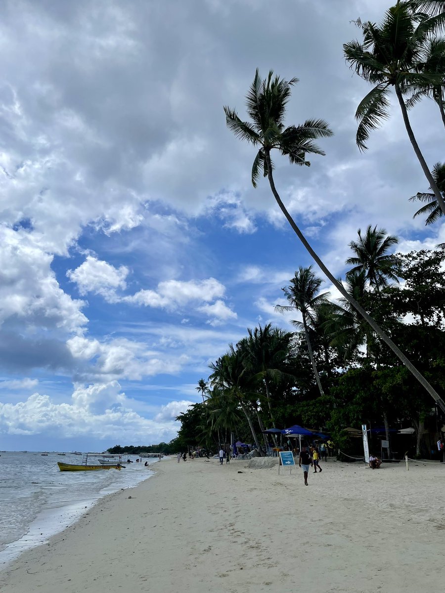 Jeroen Fritz tweet media