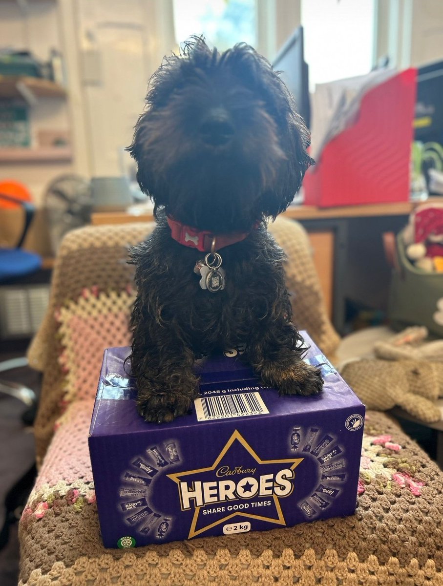 CNCS_PFA's tweet photo. We are having a quick catch-up on Zoom tonight. If you want to meet other parents and find out how you can support the school through events and fundraising, drop Jo an email pfa@cncs.co.uk (our meetings are friendly, fun, low effort, high impact and brief!!) @CNCSOfficial https://t.co/jevL7gq4bu
