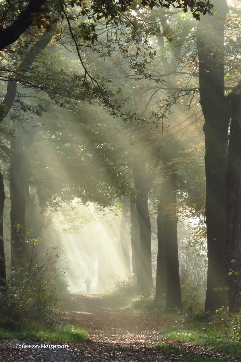 Margreeth0_0's tweet photo. GM☕️ Eens zal het weer minder gaan regenen...het is de vraag wanneer. Fijne woensdag, have a lovely day🙂 #ThePhotoHour #NaturePhotography #NatureBeauty #solarrays #zonneharpen #AutumnVibes #Autumn #GoodMorningEveryone #PositiveVibes #twittermooimaken #TwitterNaturePhotography https://t.co/G74bh5UoEQ