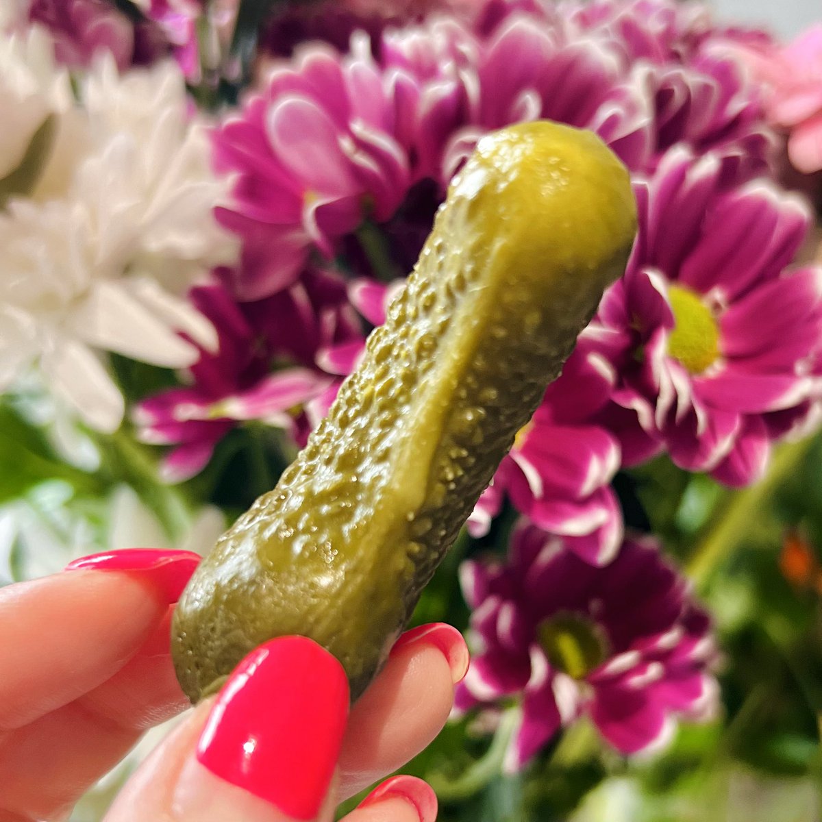 A Terrible Show for Terrible People by Bonnie He tweet media