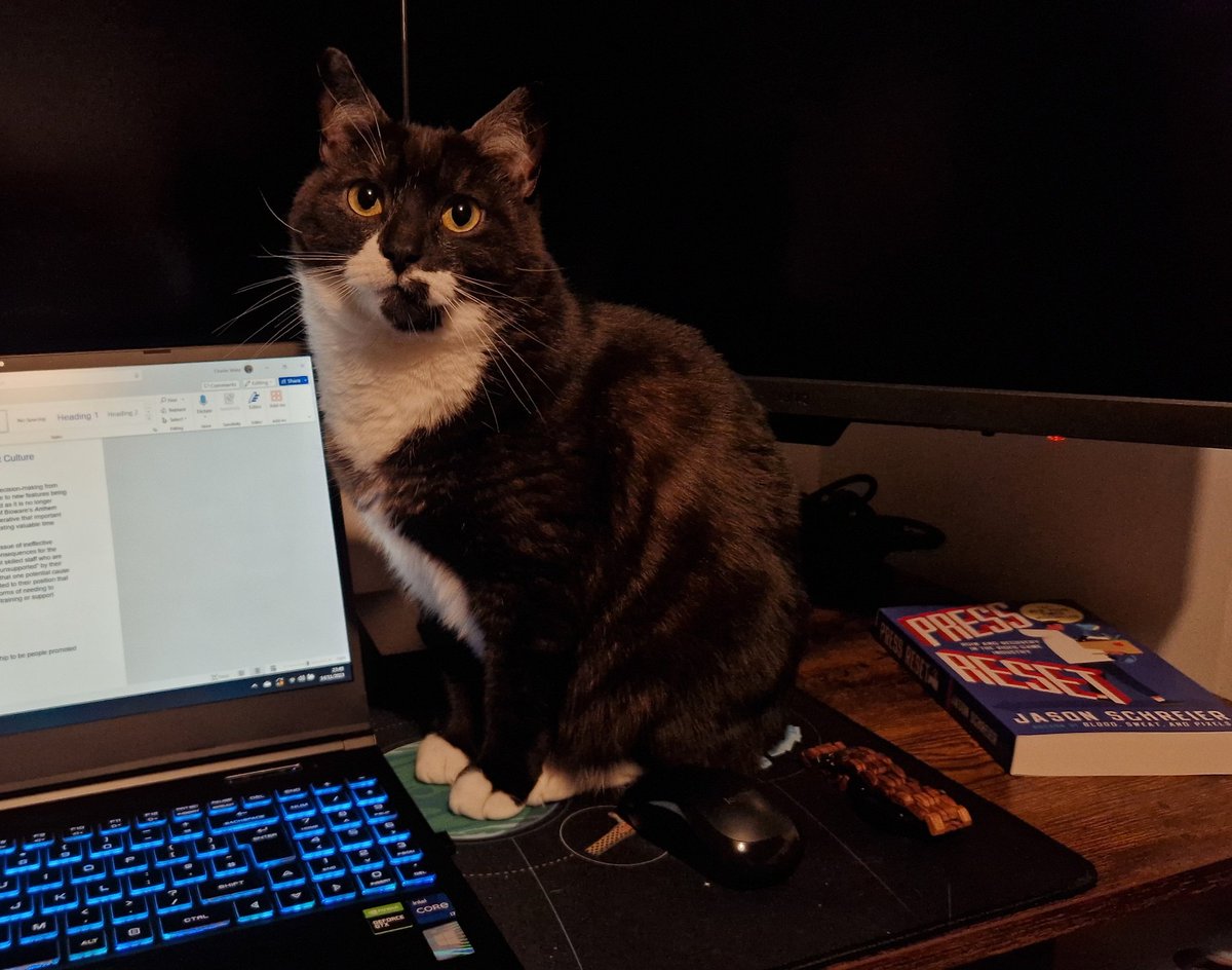 Trying to write a case study about problem domains in the games industry, but the only problem domain I see is this rascal trying to sit on my keyboard.
