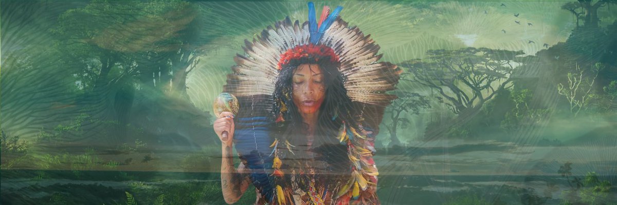 mycelia_xyz's tweet photo. Let's the drum rolling for #GG19 💚🍄

We just get approved for @climate_program Round and Web3 Community & Education program rounds!

Why that you may ask ?🤔

Mycelia is weaving the Human Bioma, from the ancestrality of Indigenous Peoples, to the infinity of Web3. 

We believe that Indigenous Peoples are the one that can help humanity to face ecosystem collapse, biodiversity losses and foster a global culture that reconnects us to the fabric of life — their mission on Earth is a real public good for humanity.

To achieve this, Indigenous Peoples are asking for more self-determination, and Web3 is delivering it.

For this GG19 campaign we are focusing on @AvelinBuniaca who are defending the rights of Indigenous Women in Brazil. 

Her fight could be the most profound way to regenerate Earth, and we want to give space to it.

Future is Ancestral, and if like us you want to defend the roots of humanity to preserve future generations, come to support Mycelia and the voices of Indigenous Peoples in GG19 :

🫂 Web3 Community and Education 
https://t.co/EaTo2hVhxB

🌳Climate Solution Round
https://t.co/U9CEr5FPfE