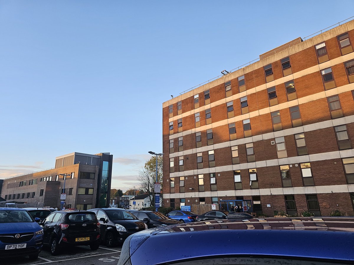 Erin L-S 🎵🩺 tweet media