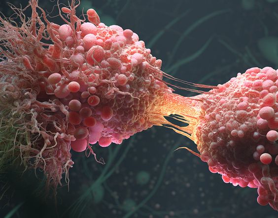 Does exercise prevent cancer?

📕Make Sure To Bookmark✅

🧵👇

/1