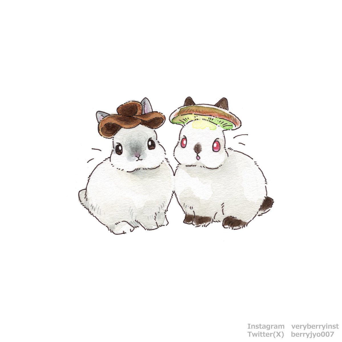 「キクラゲうさぎさんはぷにぷにしててツキヨタケうさぎさんは夜に光るよ(明日の投稿で」|VeryBerry うさぎ星さん4/8-9出展のイラスト