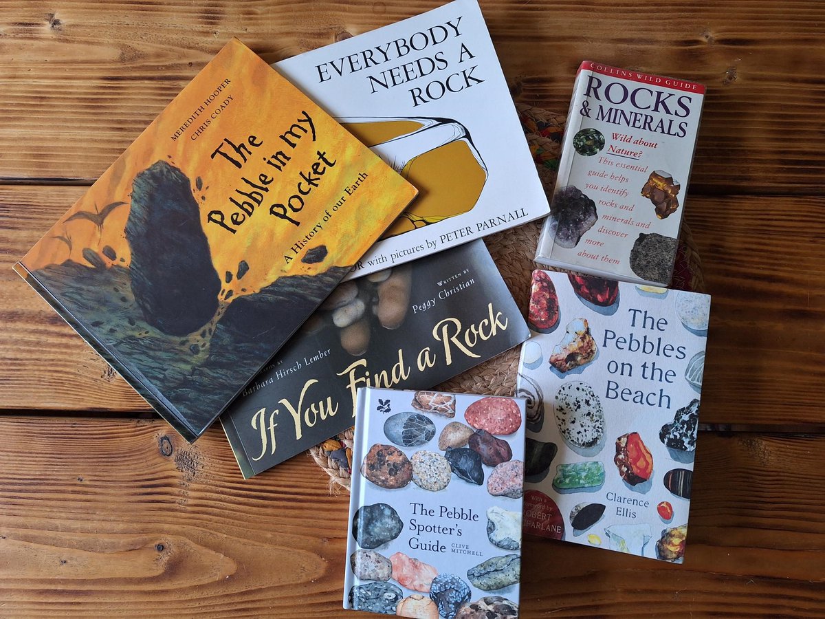 TForumlearning's tweet image. A perfect week to dig into some of the lovely books that celebrate river pebbles! Love how an engaging story can inspire curiosity and encourage us to take notice of the smaller things whilst exploring outdoors  #BookWeekScotland