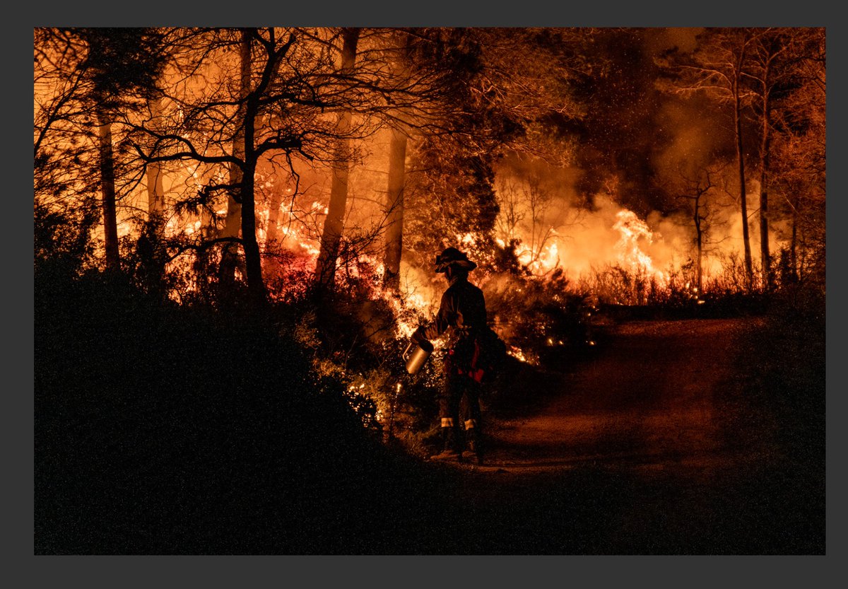 Occat93's tweet image. Avui col·laboro amb dues fotos a @SondaInt en aquest currazo de reportatge tant important i tant  necessari sobre els Megaincendis forestals.