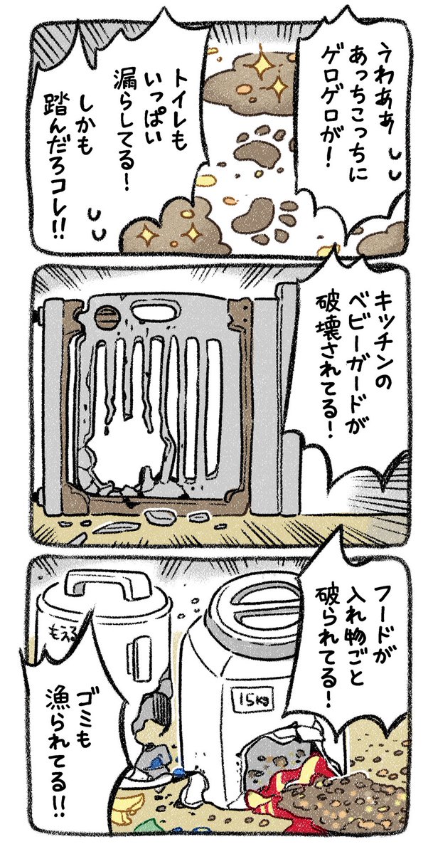 保護犬茶々のお話【第17話】
✨破壊神降臨✨
#漫画が読めるハッシュタグ 