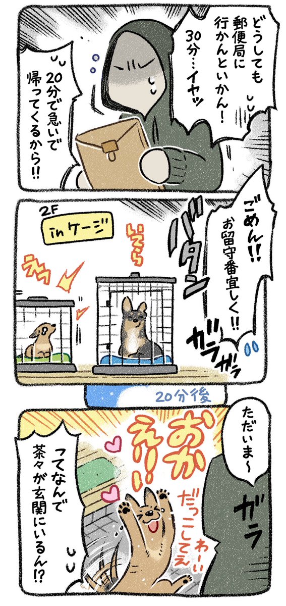 保護犬茶々のお話【第17話】
✨破壊神降臨✨
#漫画が読めるハッシュタグ 