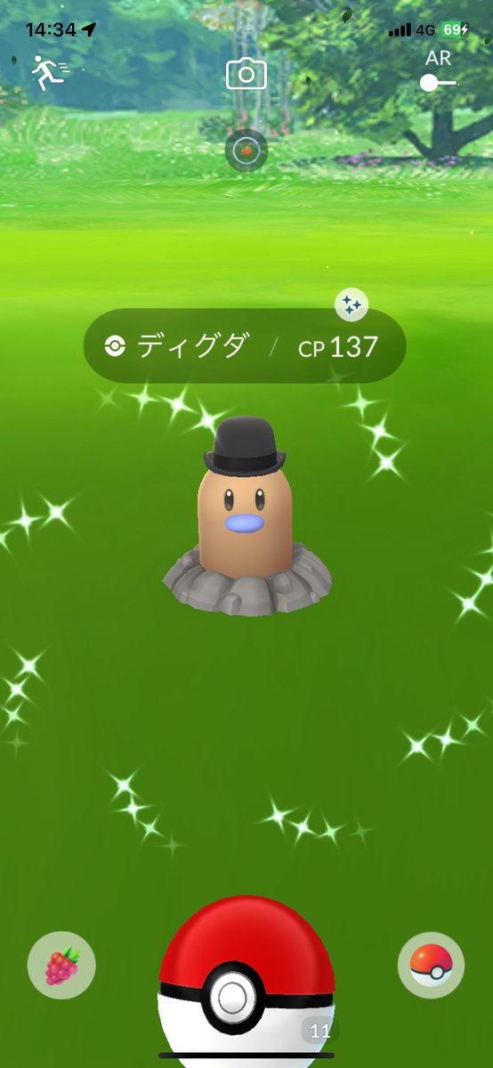 初日からありがとううう
アブソル、グレッグル狙ってたから
感動😭

#ポケモンgo色違い