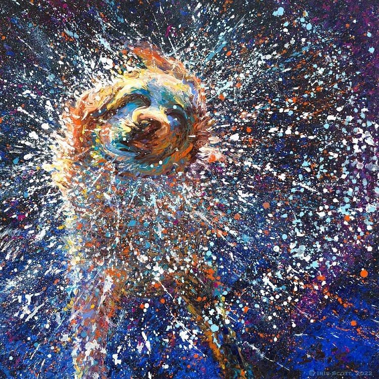 RaminNasibov's tweet image. by Iris Scott