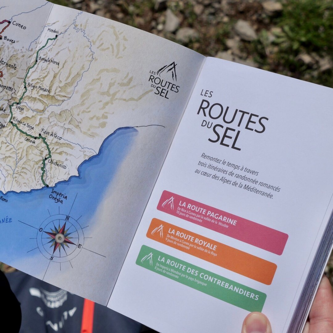 PITER ALPIMED tweet media