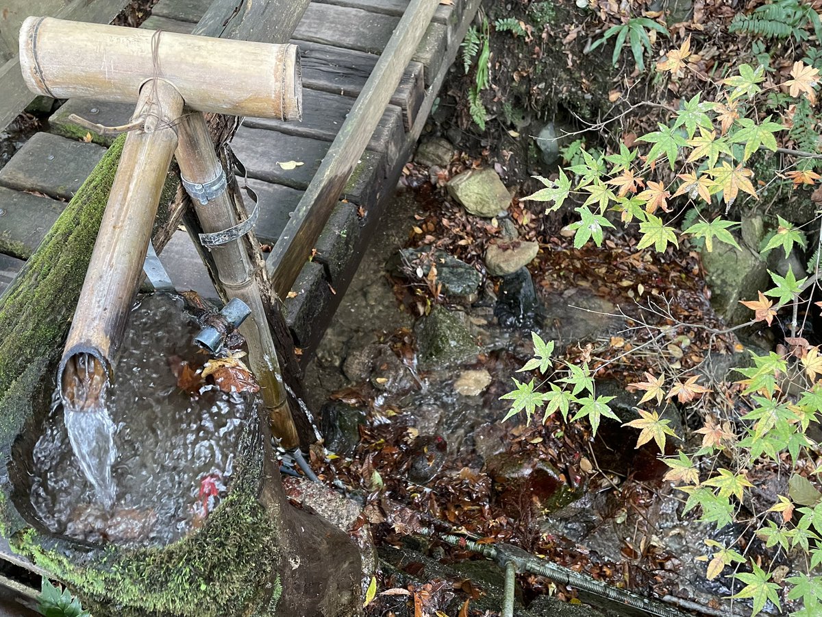 voshans's tweet photo. Weg, ver weg van het meningencircus over de oorlog tussen Israël en Hamas. Weg, ver weg van het oeverloze gebabbel over de verkiezingen. In het dorp #Ohara ten noorden van de Japanse stad #Kyoto hoor je, rondom de herberg #Seryo, slechts kabbelende bergkreekjes. Een verademing. https://t.co/zJEjikmpPL