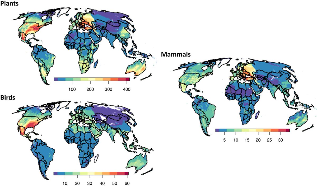 Where will #InvasiveSpecies go next? Henry Häkkinen <a href="/DaveHodgson00/">Dave Hodgson</a> &amp; <a href="/ReganEarly/">Dr Regan Early</a> provide the first global assessment of regions to which a selection of 833 naturalized #plants, #birds &amp; #mammals could spread (using climate matching, etc) #PLOSBiology plos.io/3QGUmlG