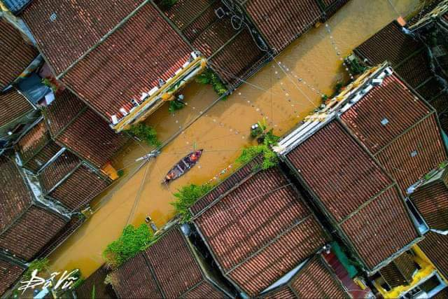 Beat24h's tweet photo. "DÒNG SÔNG LAM " GIỮA LÒNG PHỐ CỔ HỘI AN.
Mưa lũ ngập lụt đã tạo cho Hội An 1 dòng sông chạy hết các ngóc ngách https://t.co/1D5KispDwz