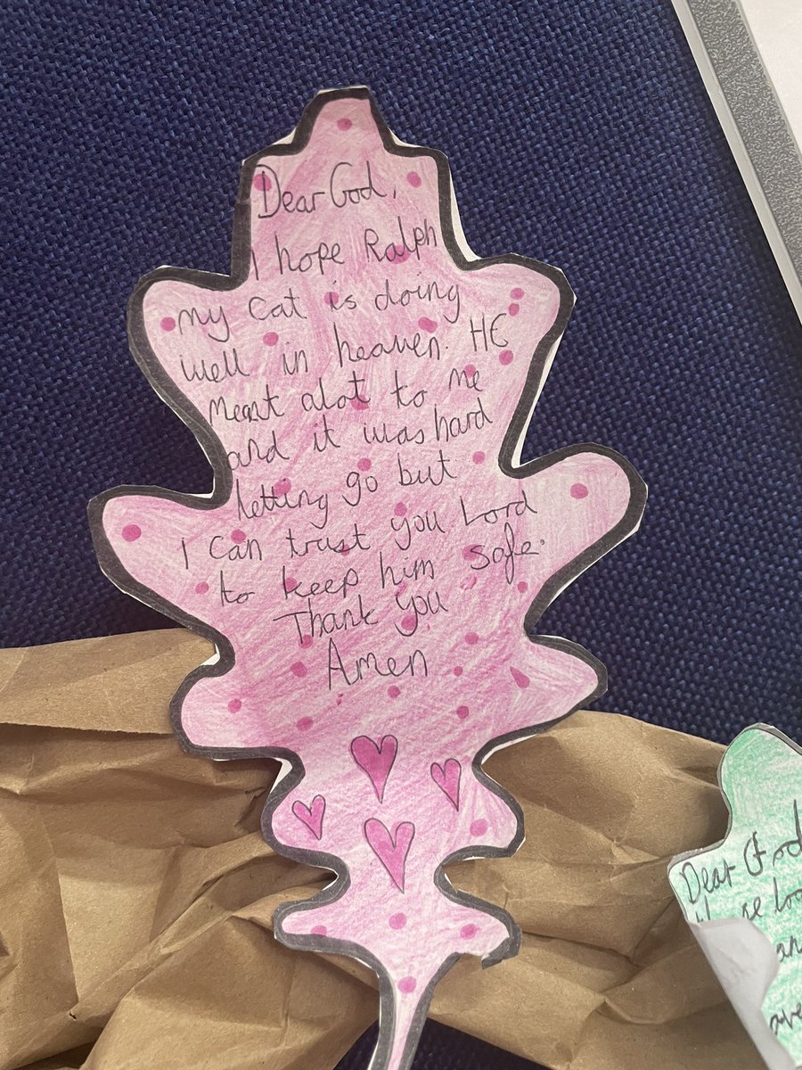 St Cuthbert's School tweet media