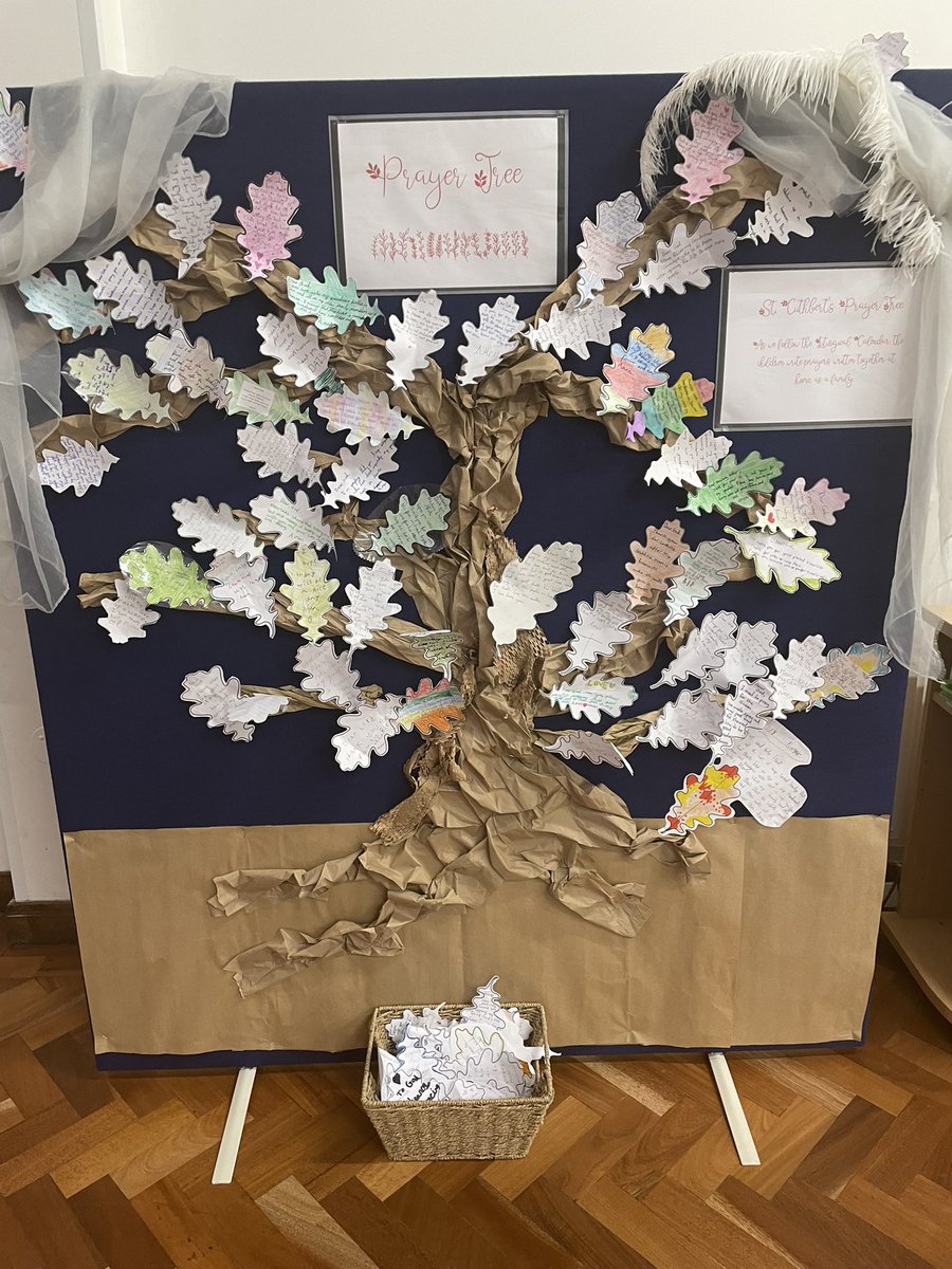 St Cuthbert's School tweet media