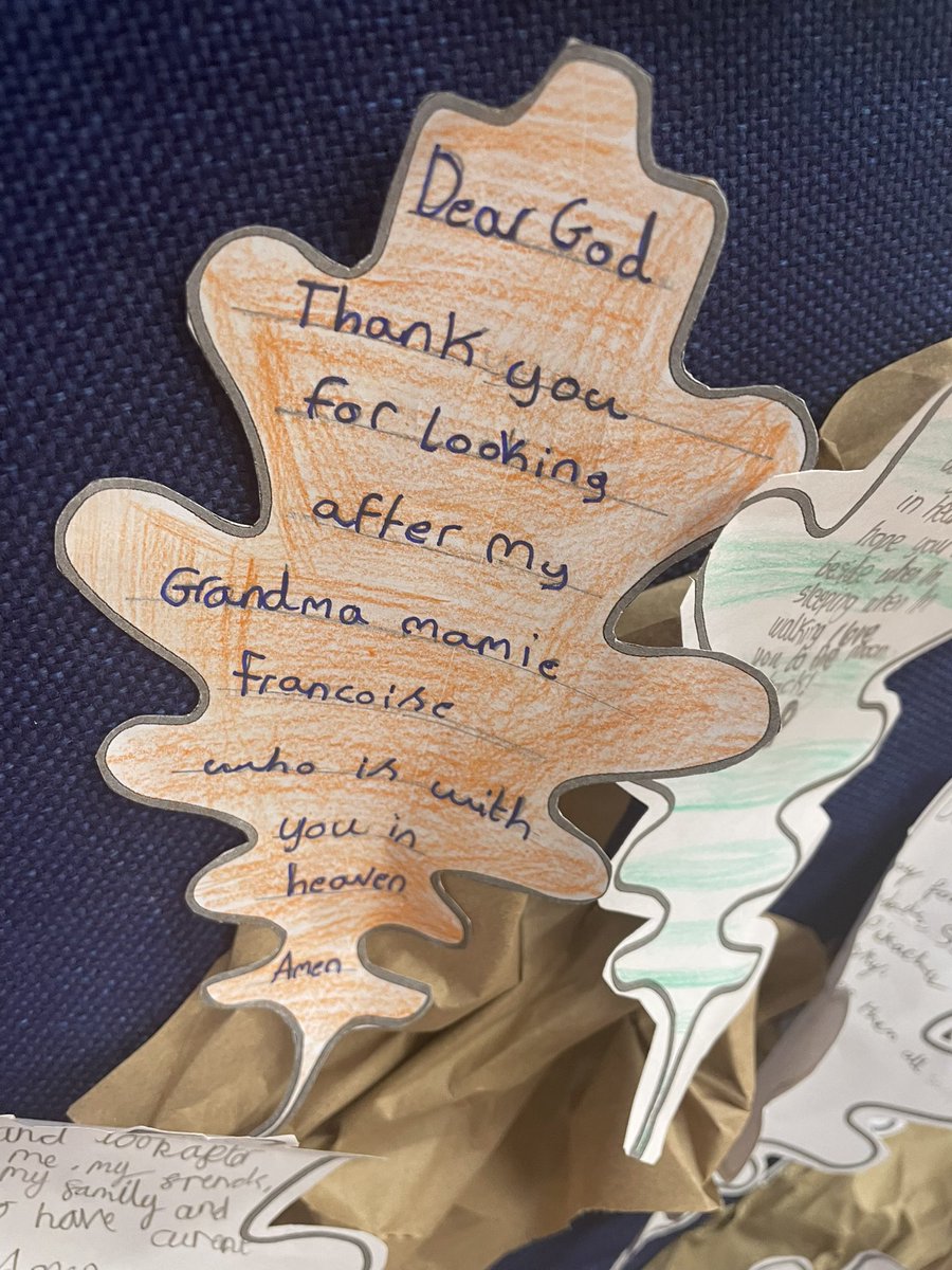 St Cuthbert's School tweet media