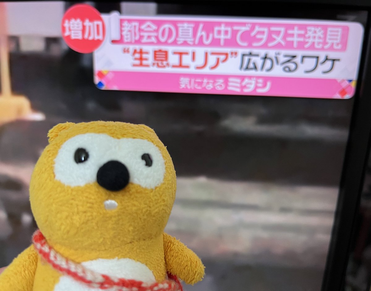 ポンタの人間観察記【公式】 (@ponkan_official) / Posts and Replies / X